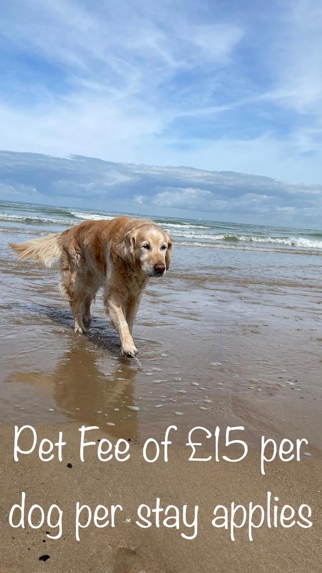 Fab Stay Uk - Coastal And Country Retreat With Free Secure Off Road Parking Minutes From Both Dover And Deal Eksteriør bilde